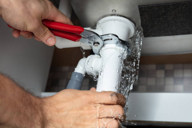 Best Basement water damage restoration  in Cienega Springs, AZ