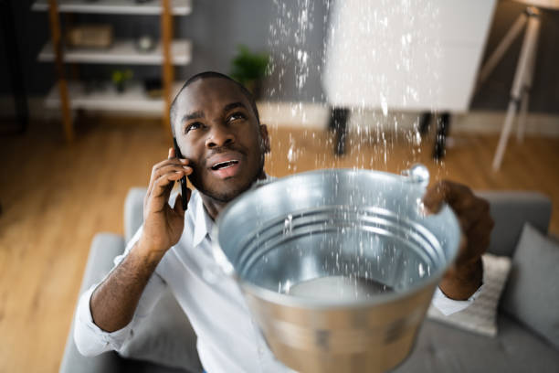 Best Flood restoration services  in Cienega Springs, AZ