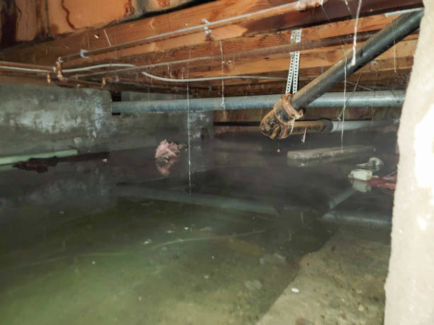 Water damage restoration mold remediation in Cienega Springs, AZ