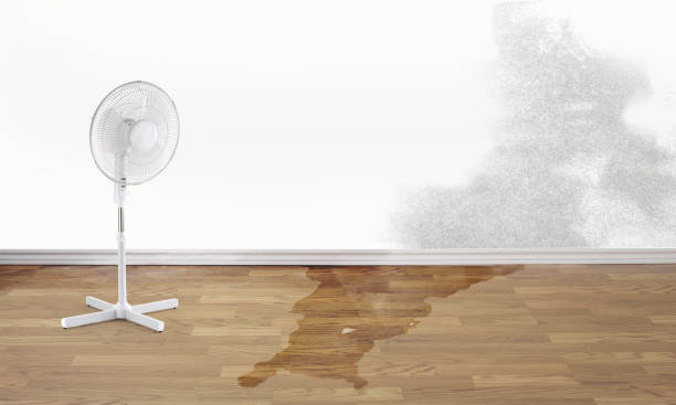 Best Water damage restoration process  in Cienega Springs, AZ