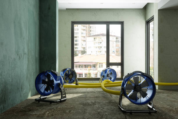 Water damage restoration experts in Cienega Springs, AZ